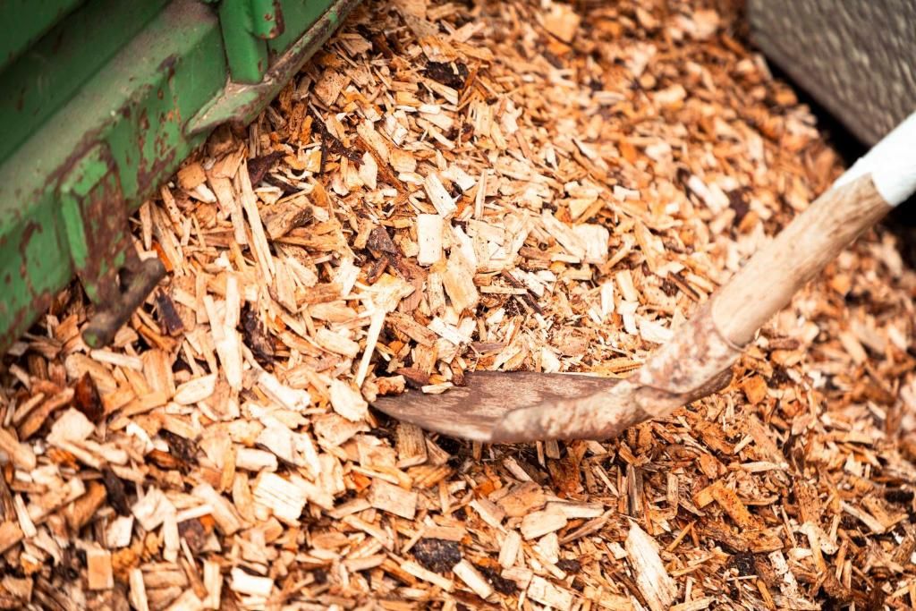 A pile of wood chips with a shovel.
