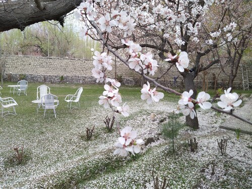 Baltistan village Guest House Skardu
