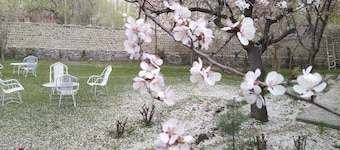 Baltistan village Guest House Skardu