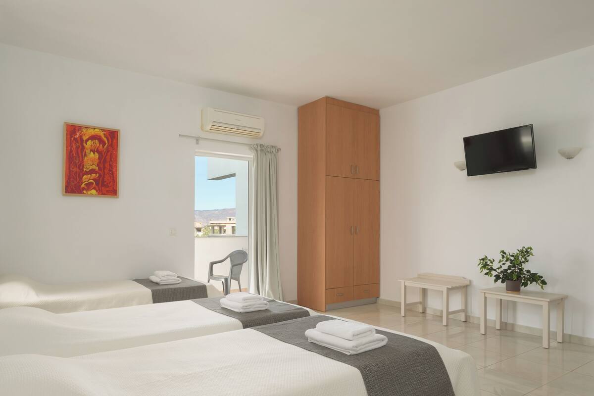 A hotel room with two beds, a wardrobe, a TV, and a potted plant.
