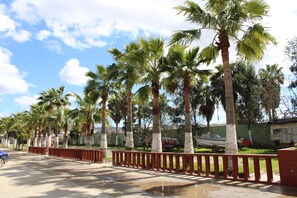A street lined with palm trees, a red fence, and a boat parked near a building.