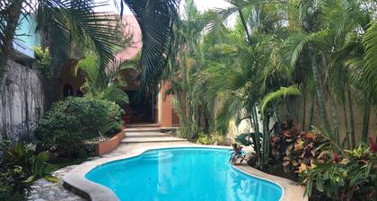 Tranquil Tropical Oasis in the Historic Center