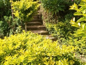 Property grounds - Ruhija Community Rest Camp (Bwindi)