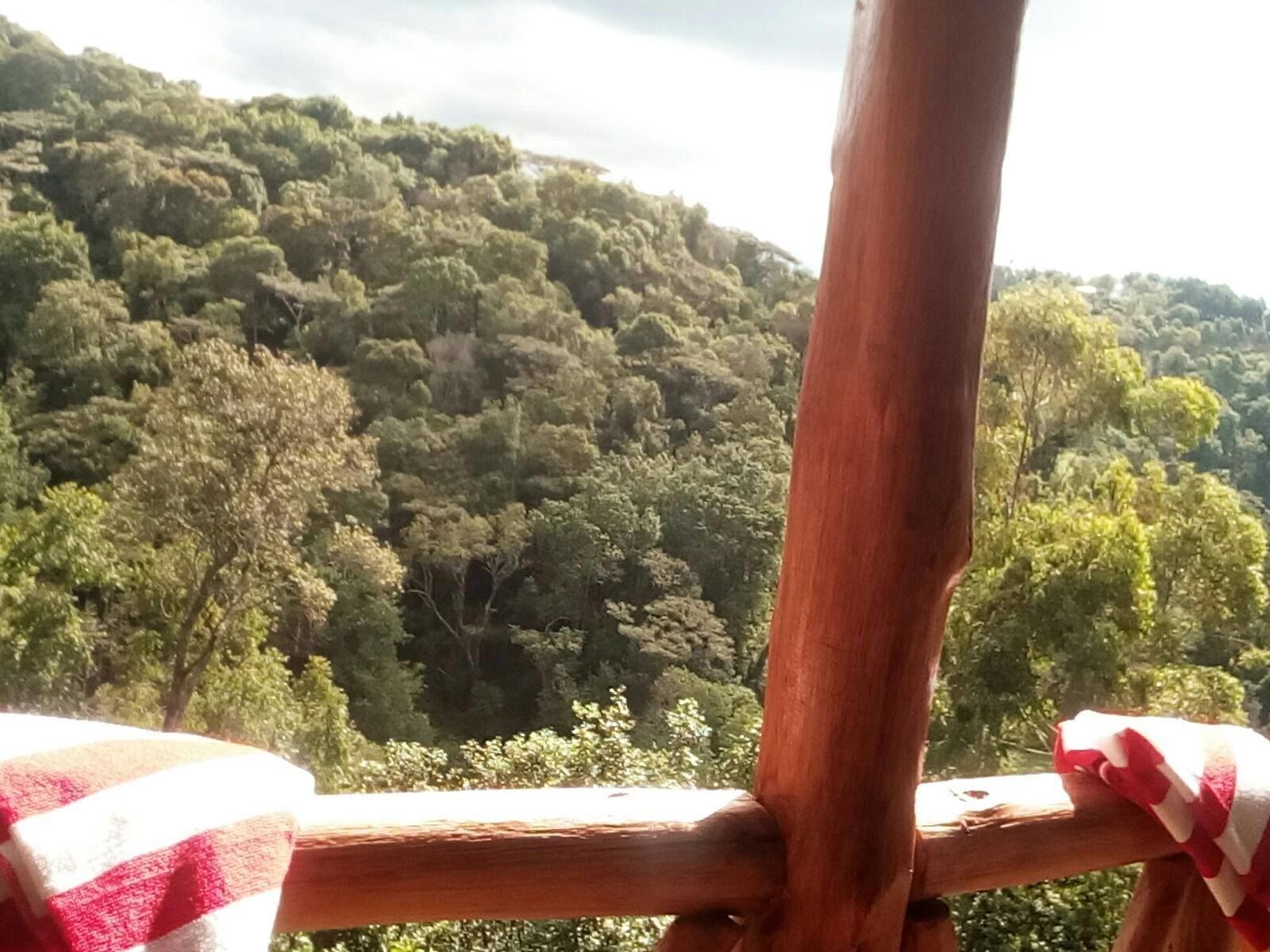 Standardværelse med 2 enkeltsenge | Udsigt fra værelset