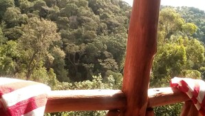 Standard Twin Room | View from room - Ruhija Community Rest Camp (Bwindi)