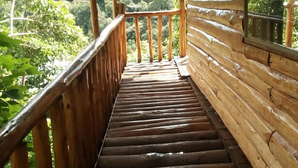 A wooden staircase leading to a balcony with a view of a forested landscape. - Ruhija Community Rest Camp (Bwindi)