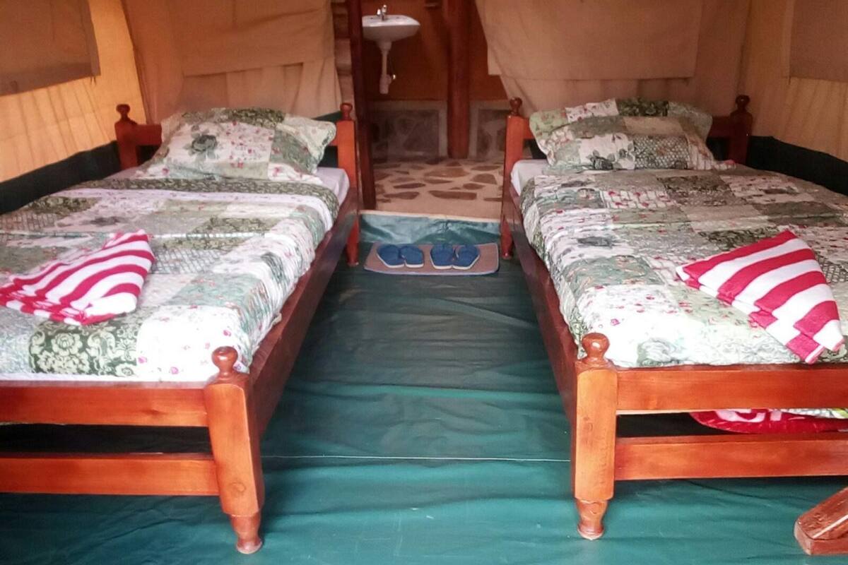 Barraca superluxo | Frigobar, escrivaninha, quartos à prova de som