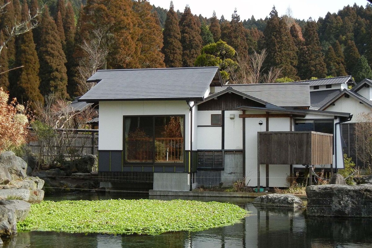 A modern house with a pond in front, surrounded by trees.