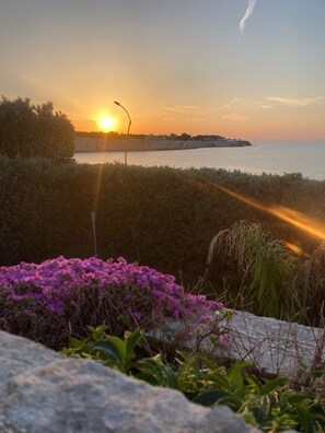 Exterior - Villa Marlu (Bisceglie)