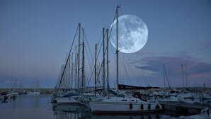 A marina with multiple sailboats docked, a large moon in the sky, and calm water reflecting the boats. - B&B Rita and Family (Loceri)