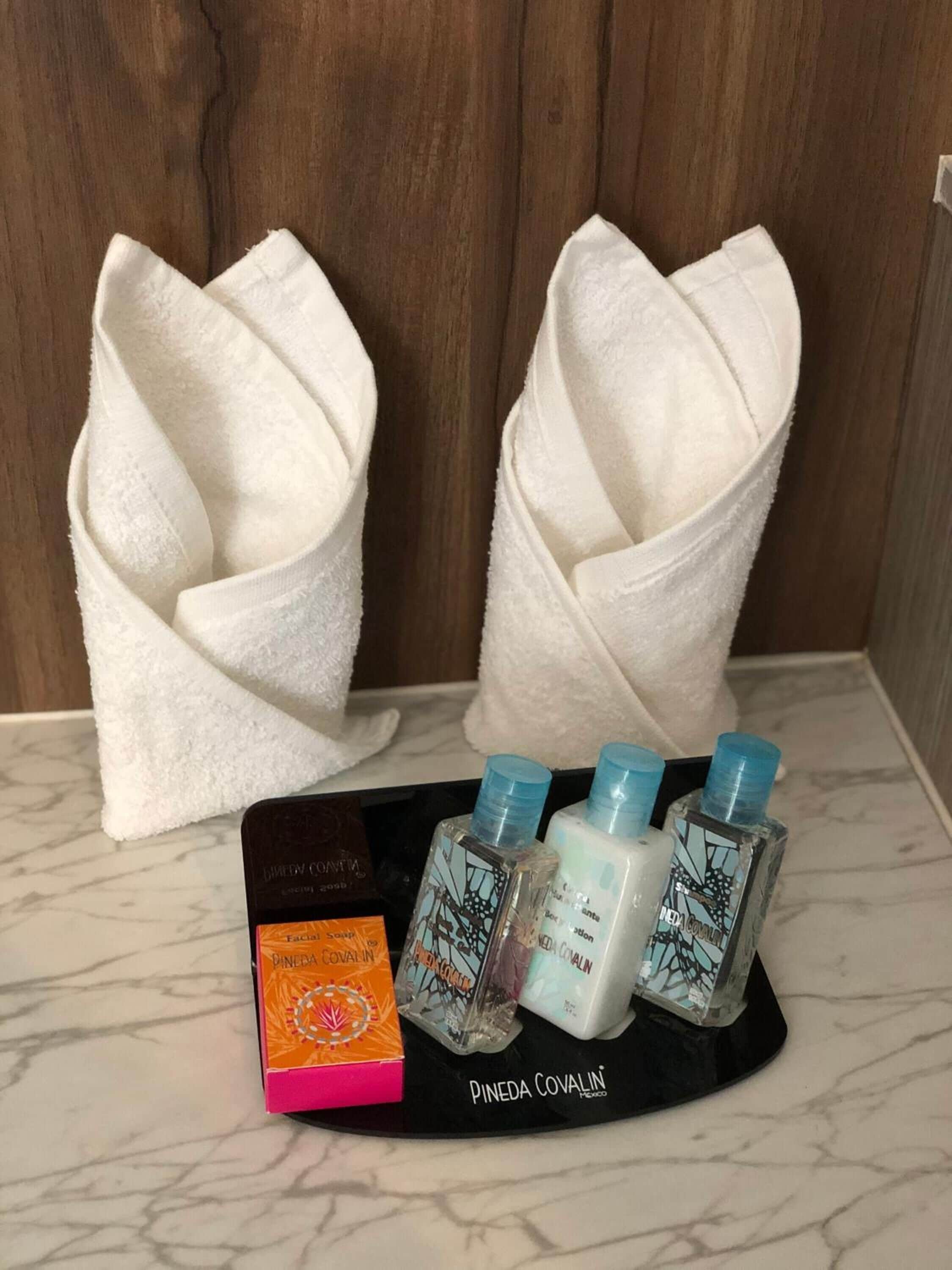 shower, rainfall showerhead, free toiletries, hair dryer