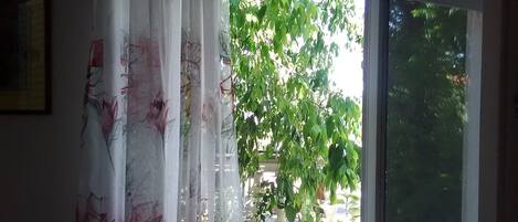 Una habitación con ventana y cortina.