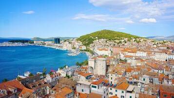 A coastal town with historic buildings, a marina, and a hill with greenery.