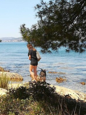 Beach massages, fishing