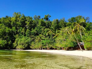A beach with clear water, palm trees, and a sandy shore.
