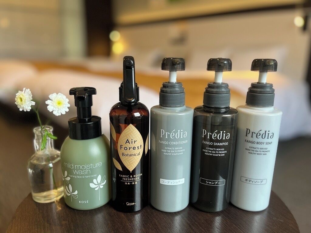 combined shower/bathtub, free toiletries, hair dryer, slippers