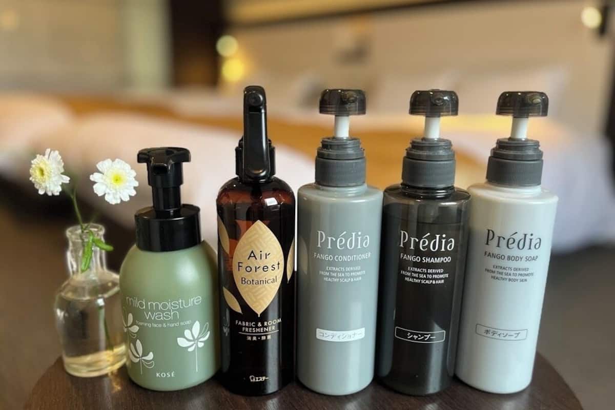 combined shower/bathtub, free toiletries, hair dryer, slippers