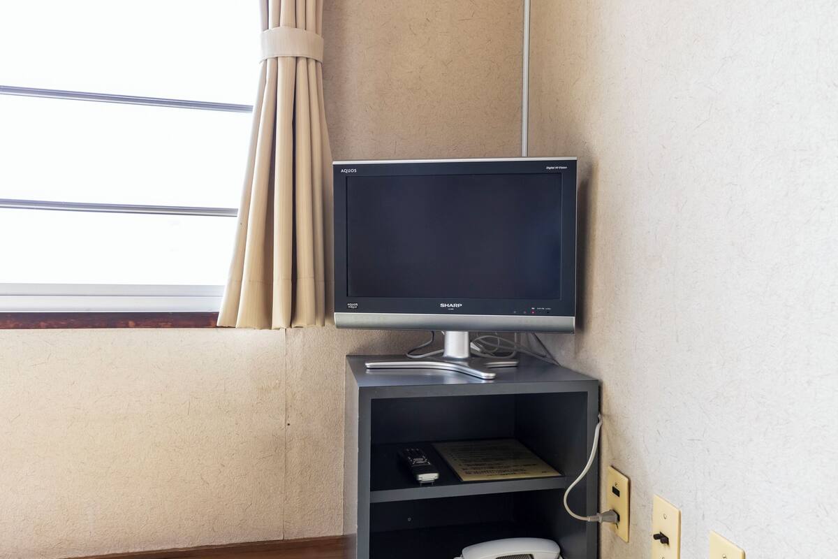 電視
