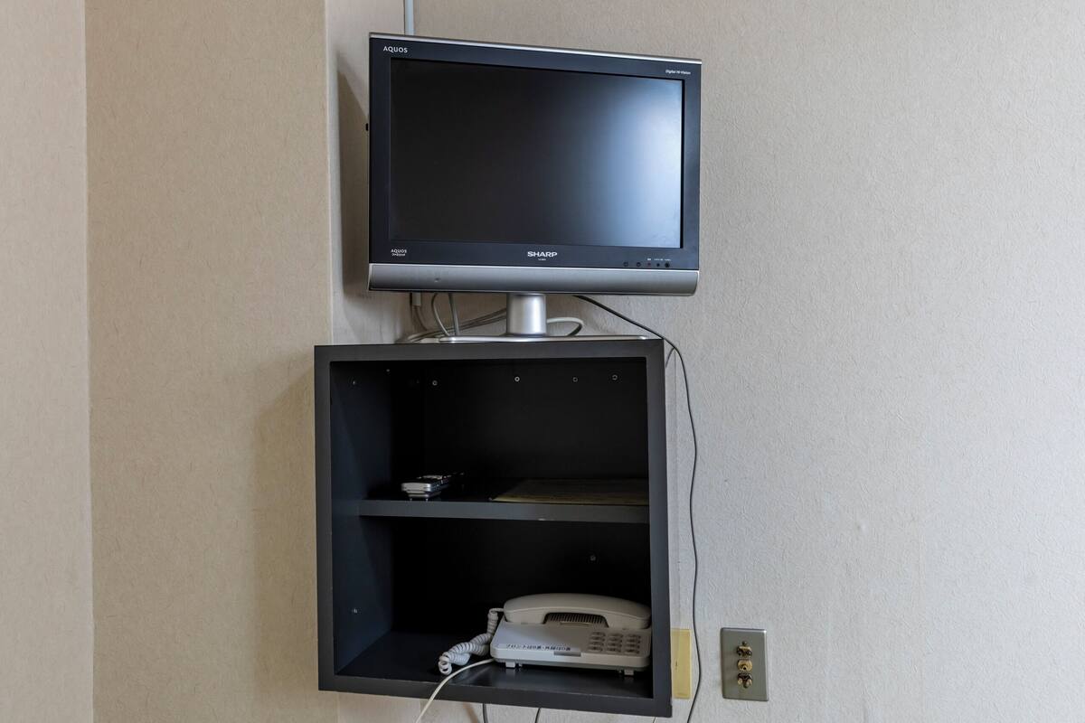 電視