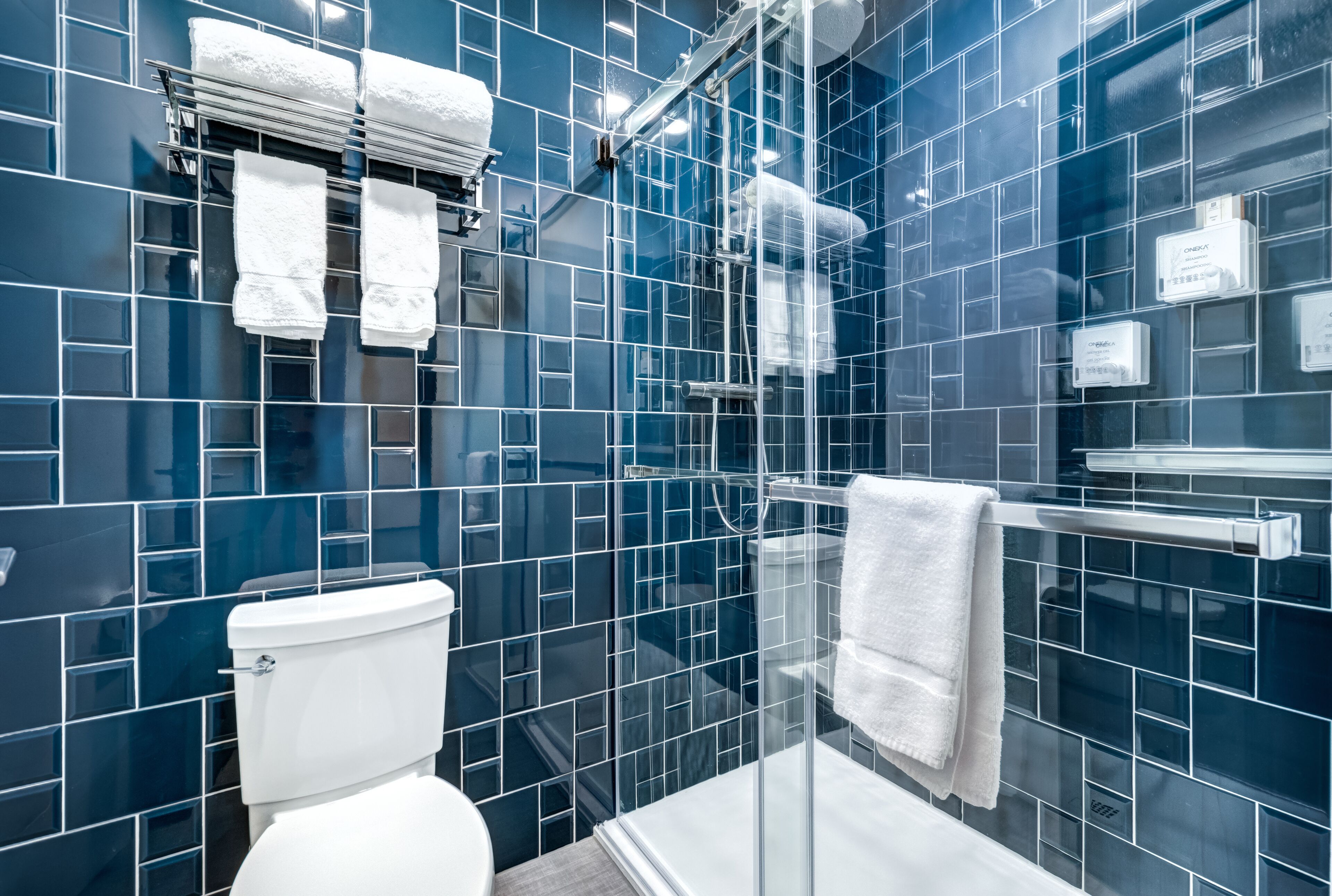 superior room | bathroom shower