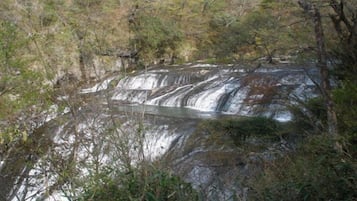 A natural landscape with a waterfall and surrounding vegetation.