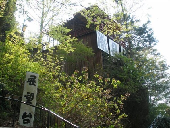 外部細節