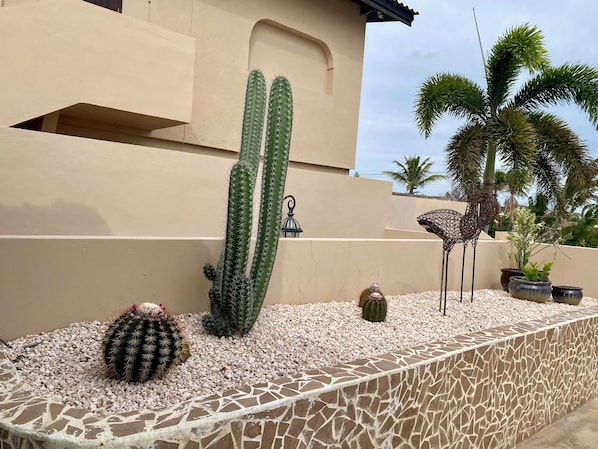A cactus garden with a stone wall, a lantern, and a metal sculpture.