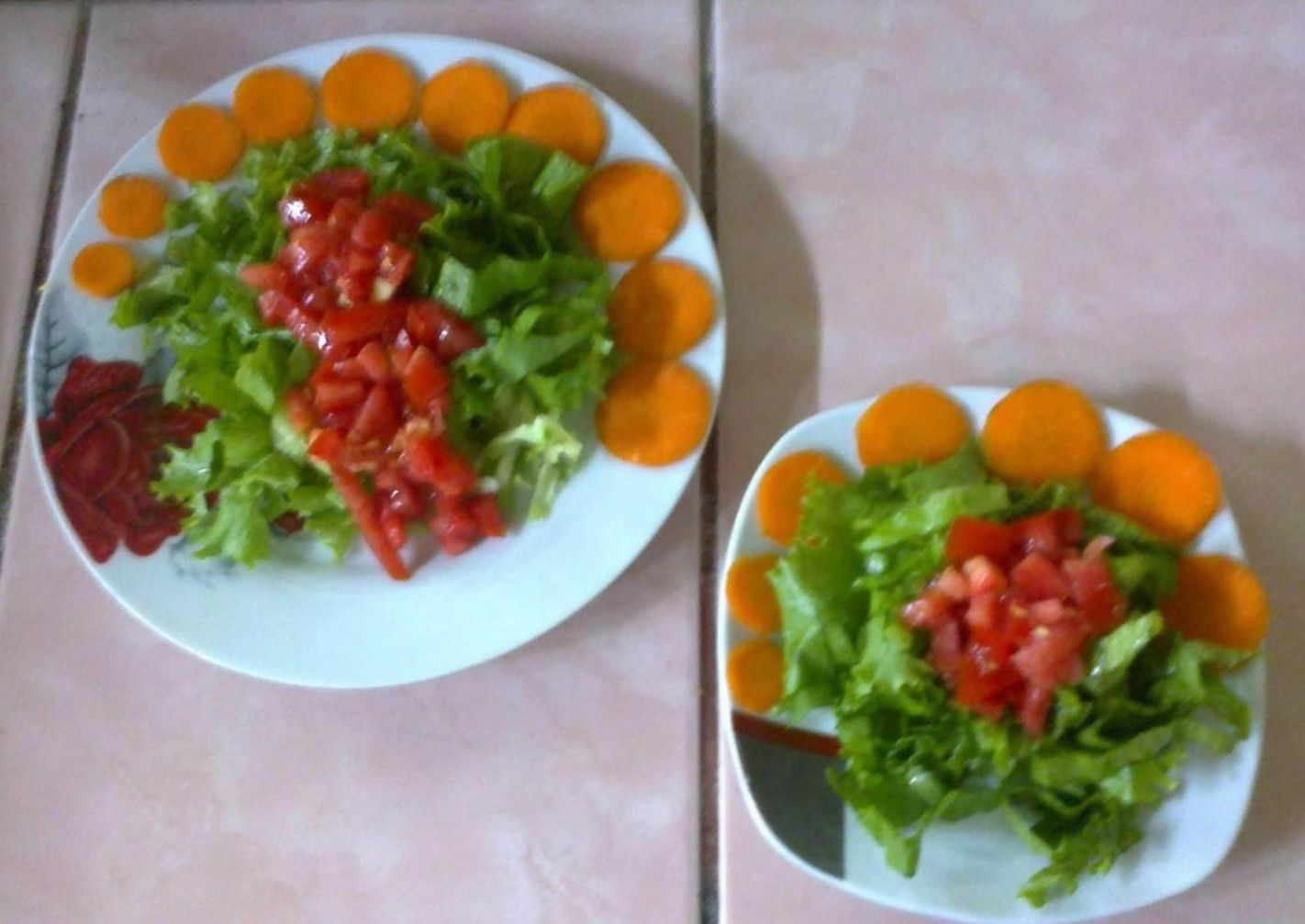 To tallerkener med salat, især med salatblade, tomater og gulerødder.