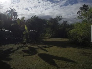 Un espacio al aire libre con césped, árboles y cielo despejado.