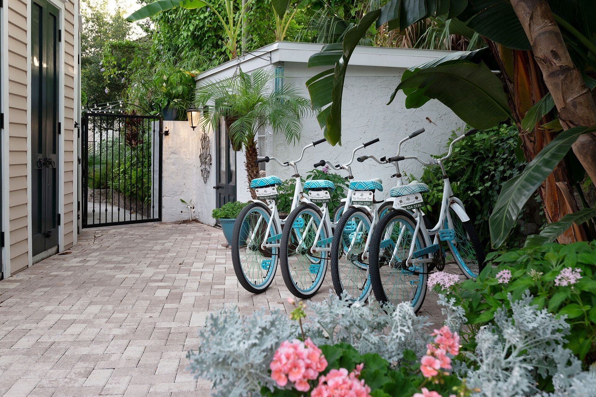 A paved pathway leading to a gated entrance with a white wall and greenery.