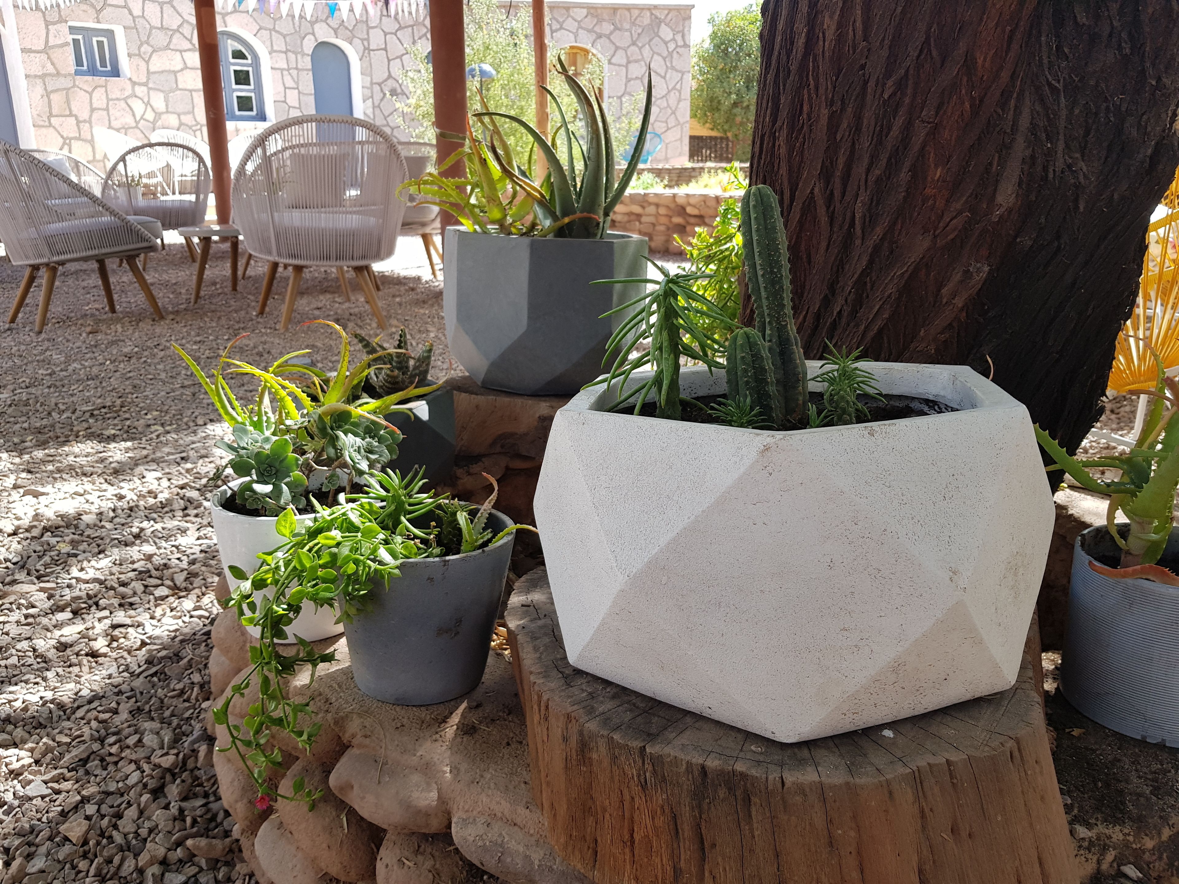 A garden area with various potted plants, a wooden stump, and outdoor furniture.