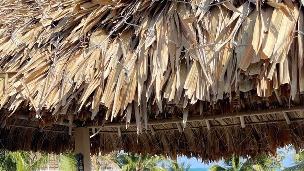 An outdoor seating area with a thatched roof, wicker chairs, and a view of the ocean. - Yocamatsu (Caye Caulker)