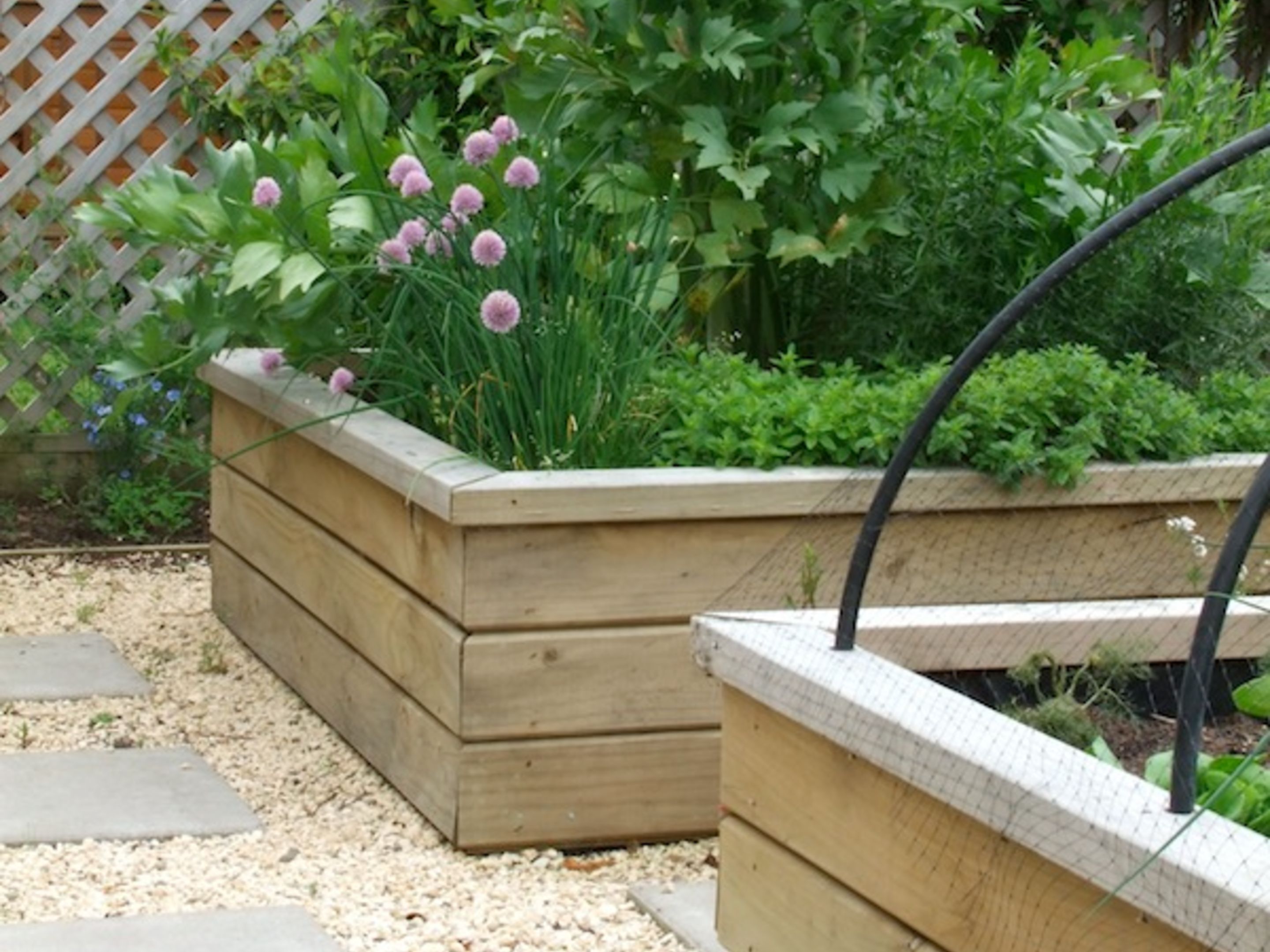 Foto - Lilac Rose Boutique Bed and Breakfast