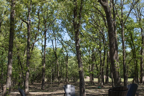 Àrea exterior de l'allotjament