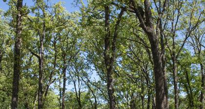 LUXURY CABIN 50 MIN FROM DALLAS ON 126 LUSH ACRES