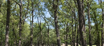 LUXURY CABIN 50 MIN FROM DALLAS ON 126 LUSH ACRES