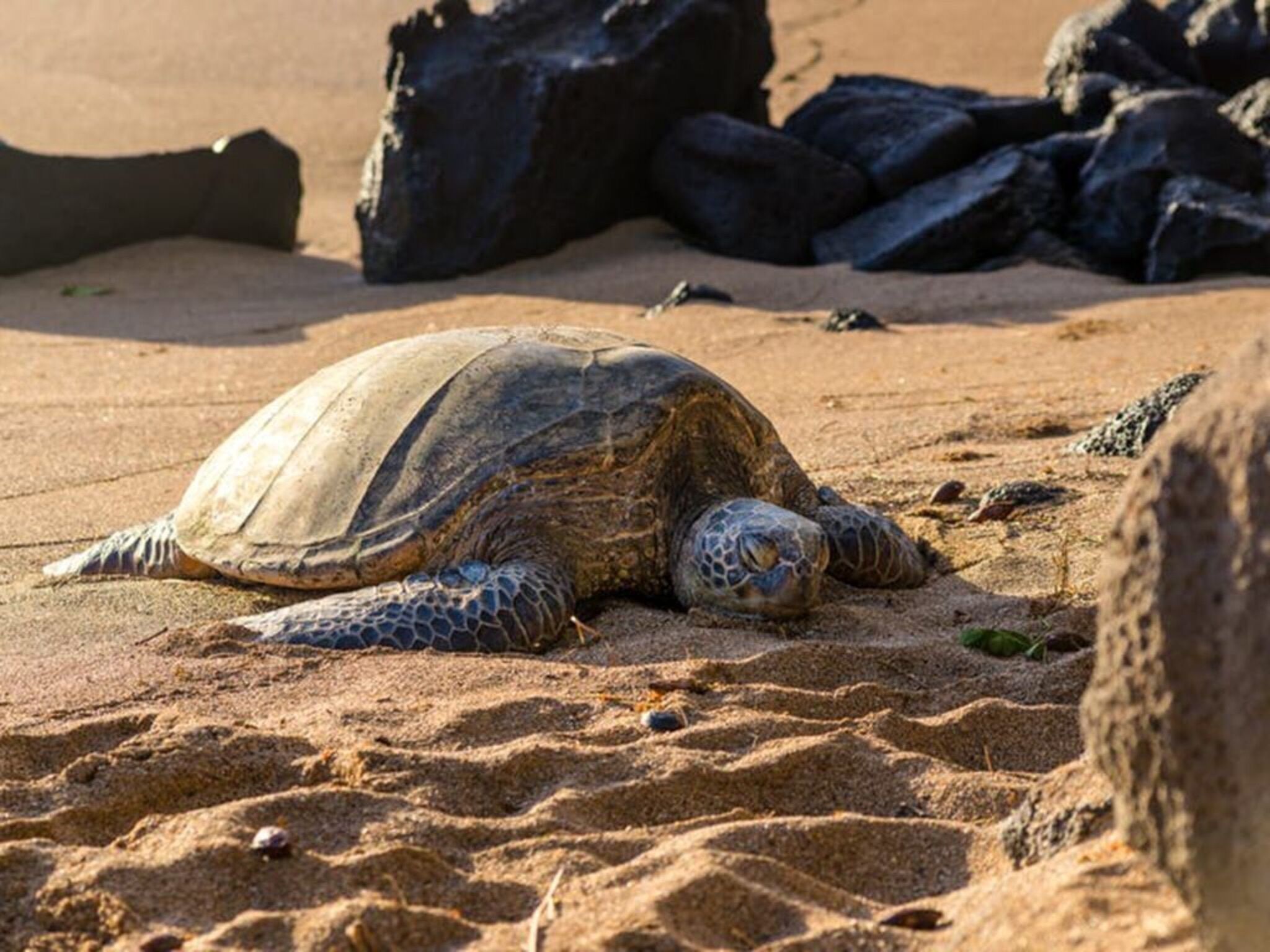 2 bedrooms, in-room safe, desk, iron/ironing board