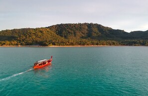 Unclassified image, 4 of 19, button