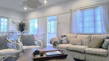 TV connectée, cheminée, livres, vidéothÚque