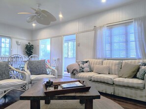 TV connectée, cheminée, livres, vidéothèque