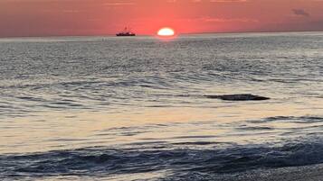 Chaises longues, serviettes de plage