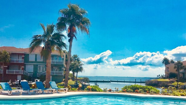 A swimming pool with lounge chairs, palm trees, and a view of the ocean. - Vitamin Sea- 40 HT (Laguna Vista)