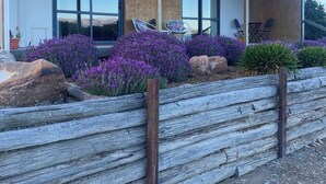 Ein modernes Gebäude mit großen Fenstern, einer überdachten Terrasse mit Sitzgelegenheiten und einem angelegten Garten mit violetten Blumen.