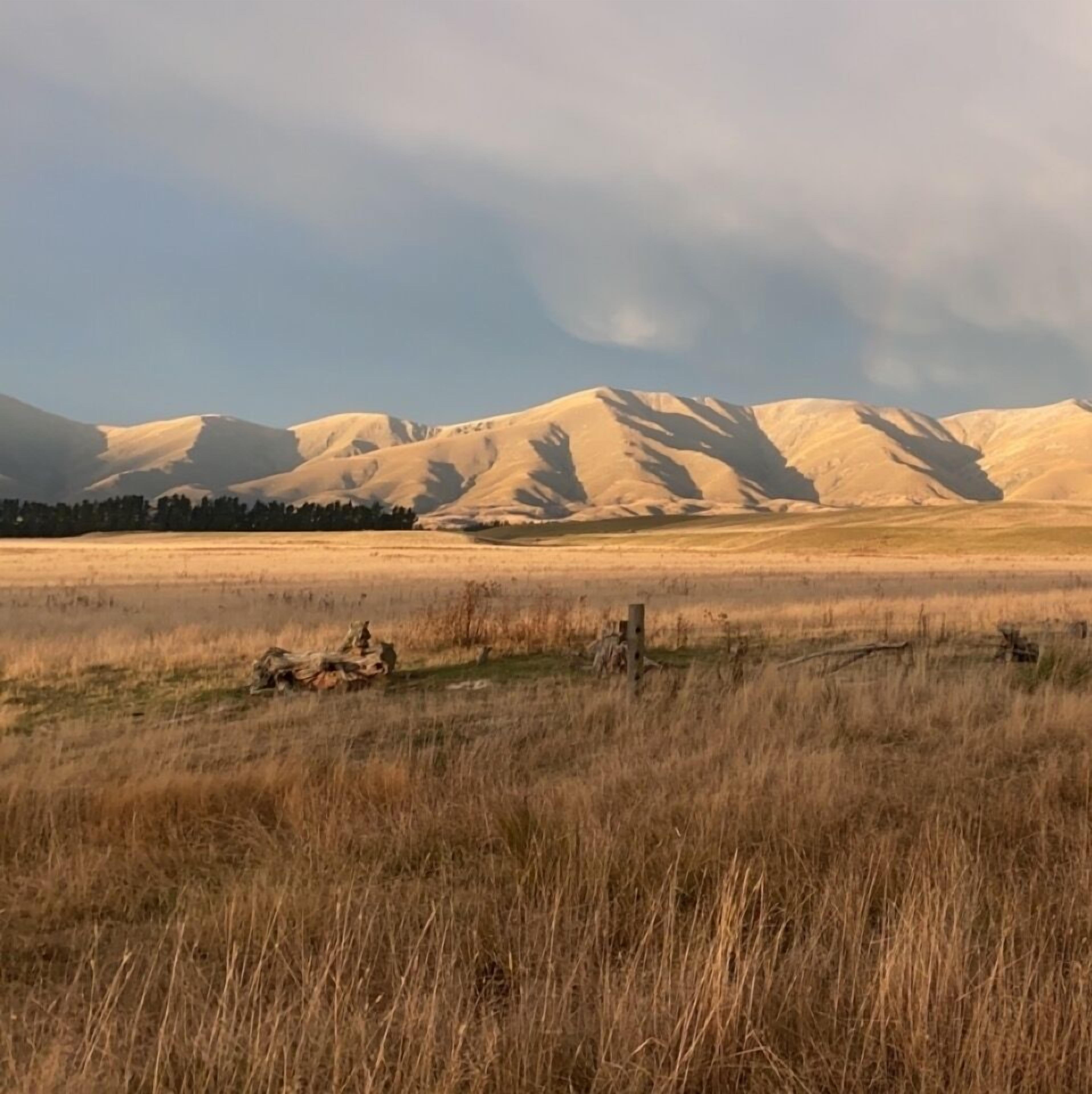 Un extenso campo abierto con una cadena montañosa al fondo.