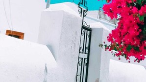 A white building with a black gate and pink flowers in front.