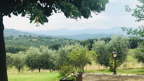 A garden with a pathway, potted plants, and a lamppost. - Colline Toscane, beautiful two-room apartment for 2/4 people, lovely view and swimming pool (Casole d’elsa, siena)