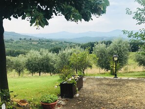 المنطقة المحيطة بالمنشأة