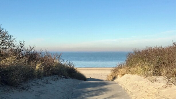 Un sendero arenoso que lleva a una playa con cielos despejados.