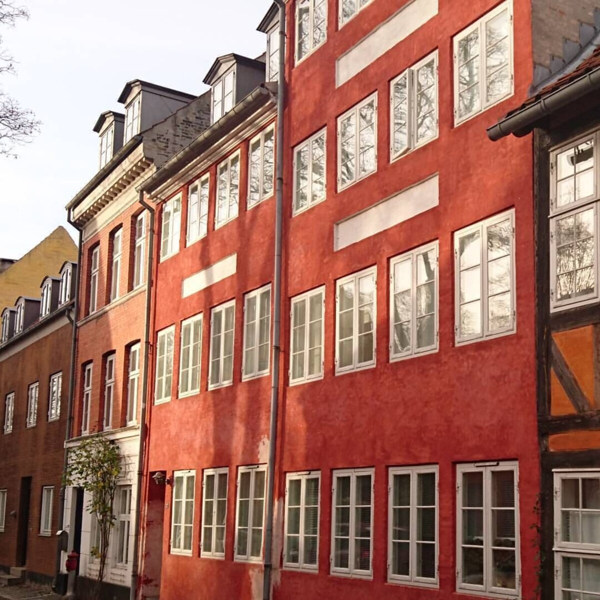 Imagen de perfil del propietario o de la propietaria