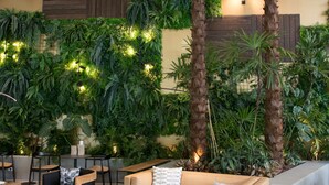 An indoor patio with a sofa, chairs, and a coffee table. There are palm trees and a wall covered in greenery. - Crystalbrook Bailey (Cairns)